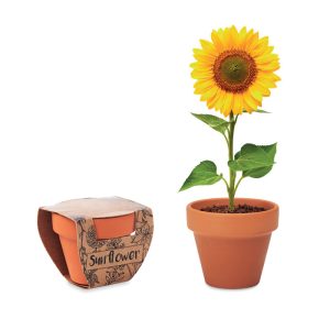 Vaso em Terracota Girassol